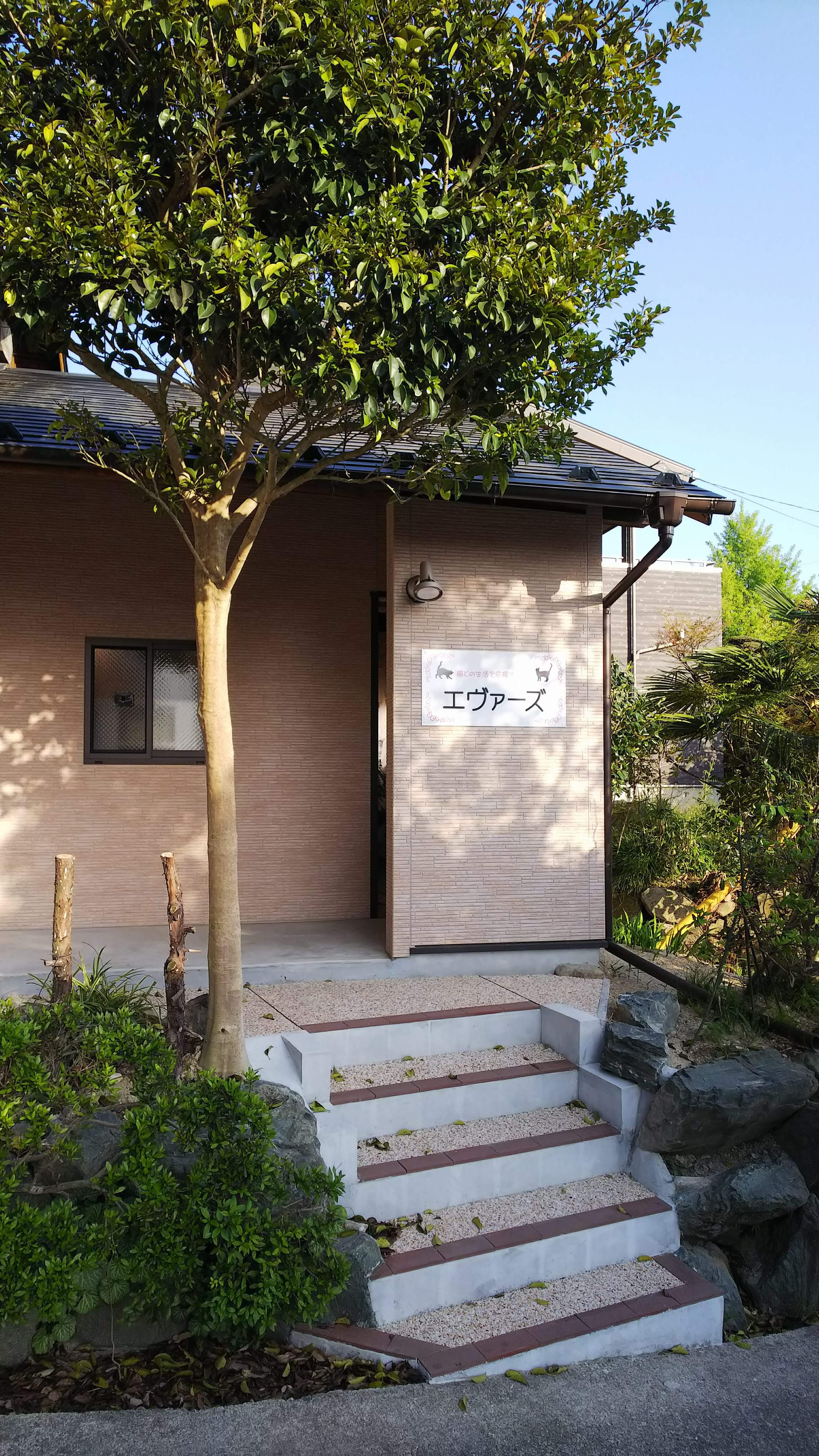 image info